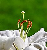 מוקף מכל עבריו