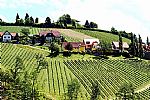 "כרמים בכפר"- אוסטריה