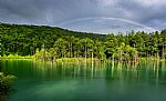 Shirogane Blue Pond