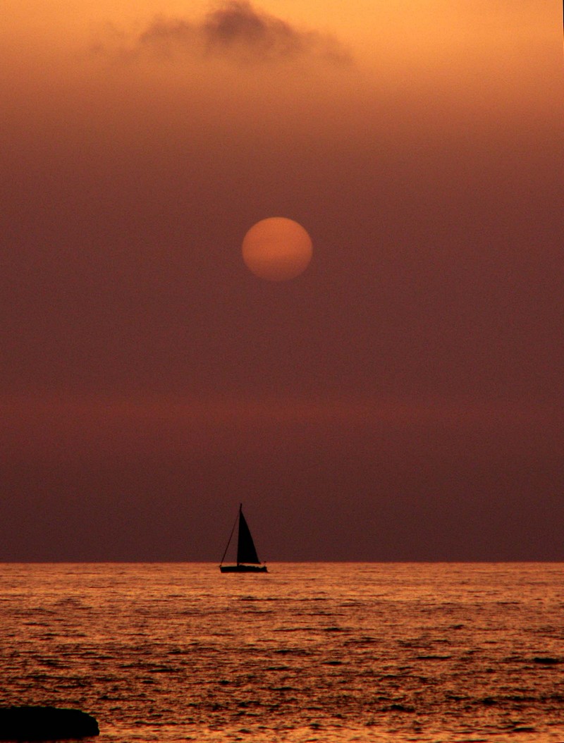 By:  