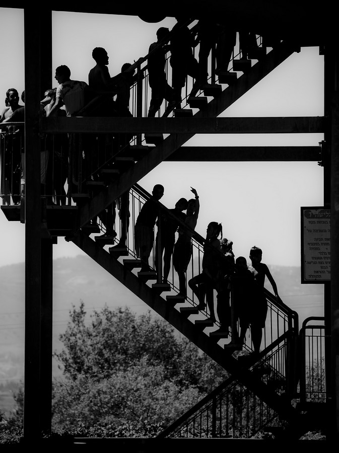 by: Zeev Mendelovitch