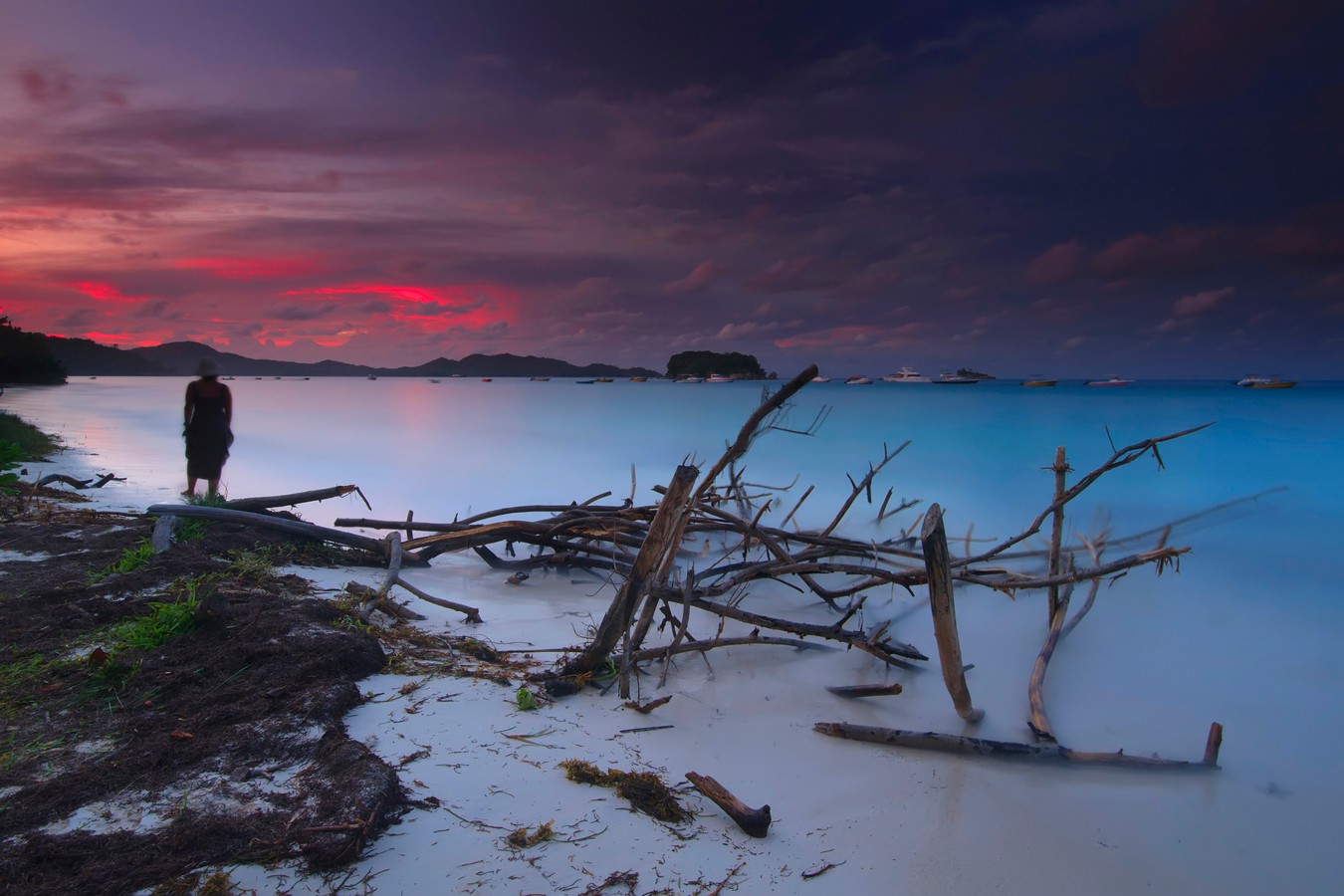 By: Amnon  Eichelberg