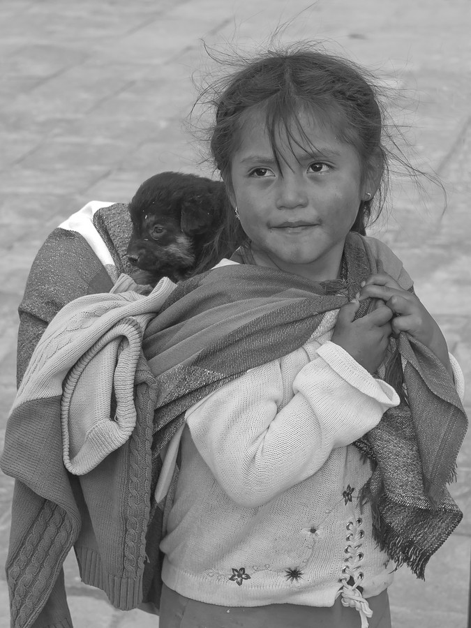 By: Hanoch Segev