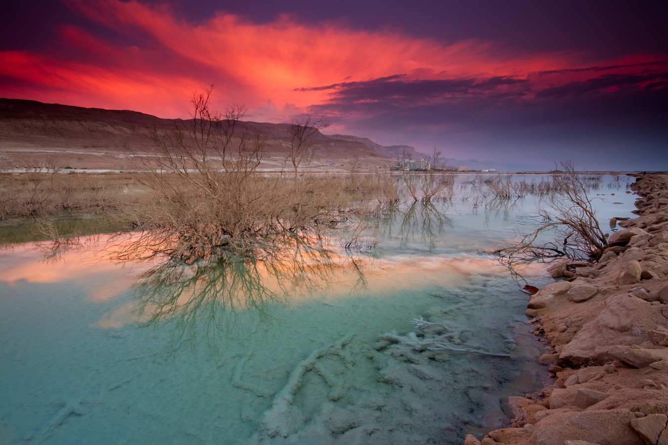 By: Amnon  Eichelberg