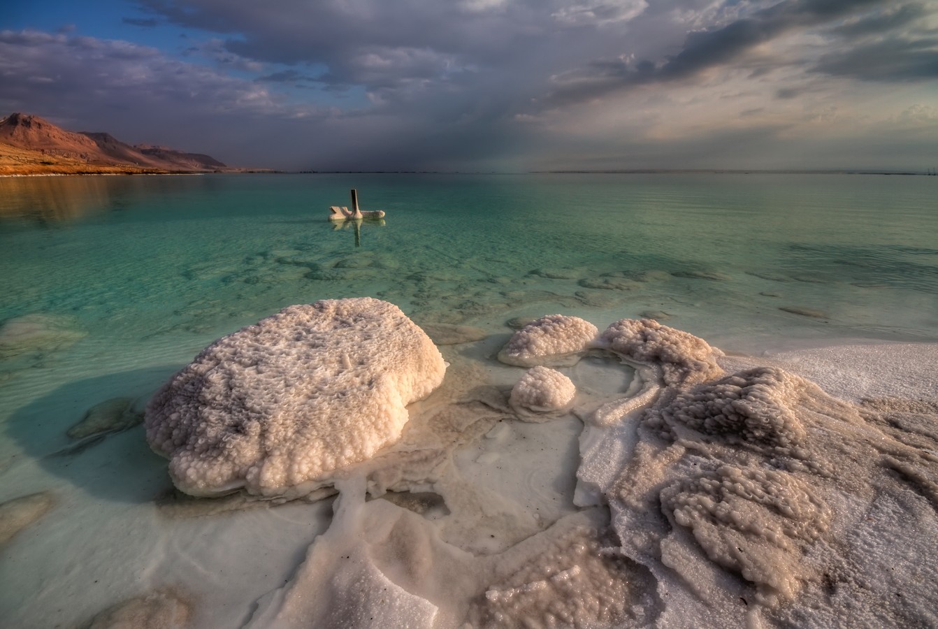 By: Amnon  Eichelberg