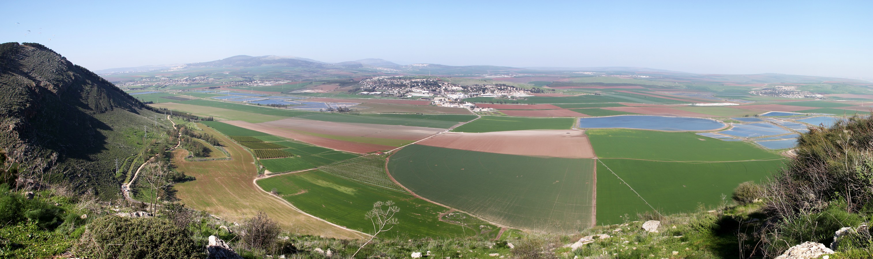 By: Oded Baron