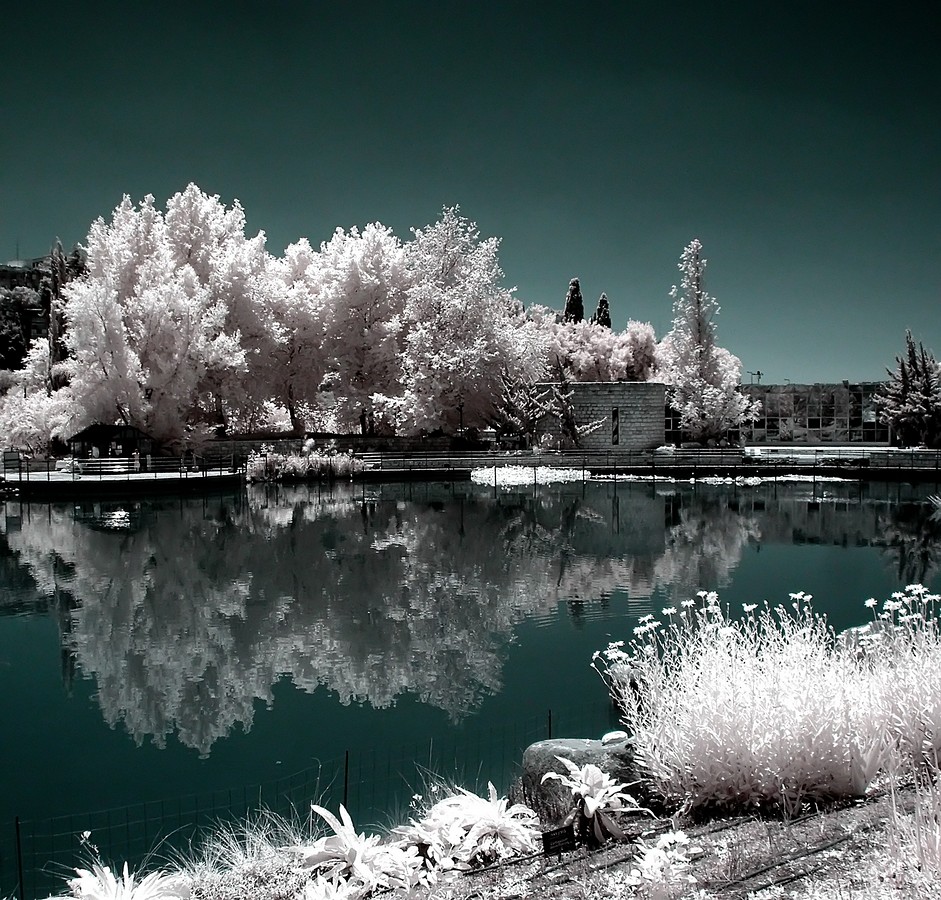 By: arik kfir