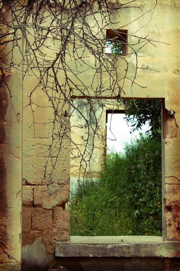 By: roni  bahar