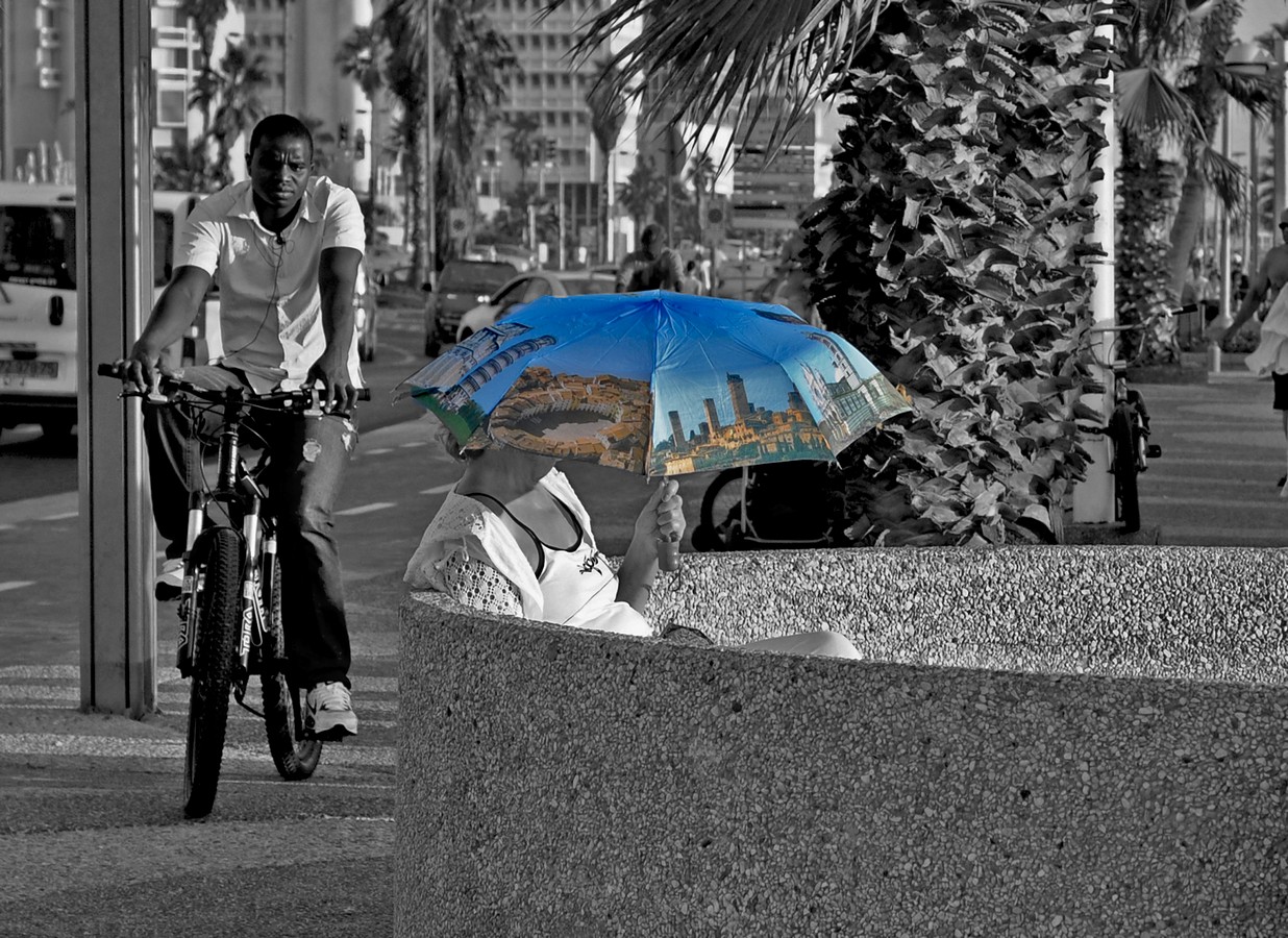 By: Eli Rimon