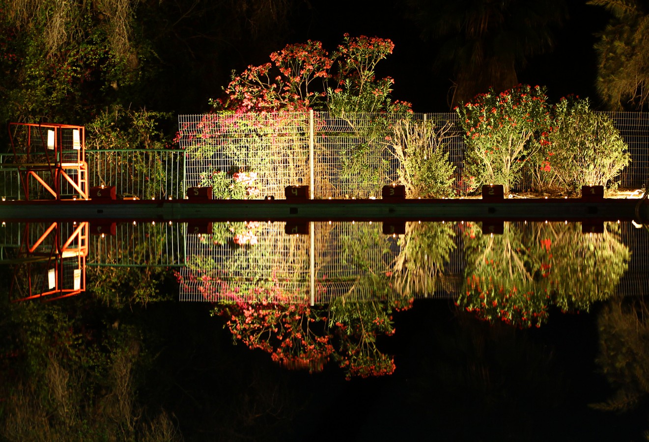by: MICHAL  DE PORTO