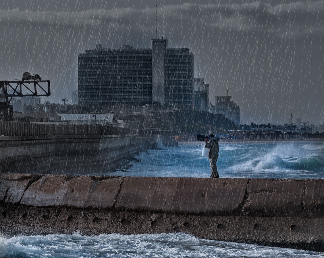 By: Eli Rimon