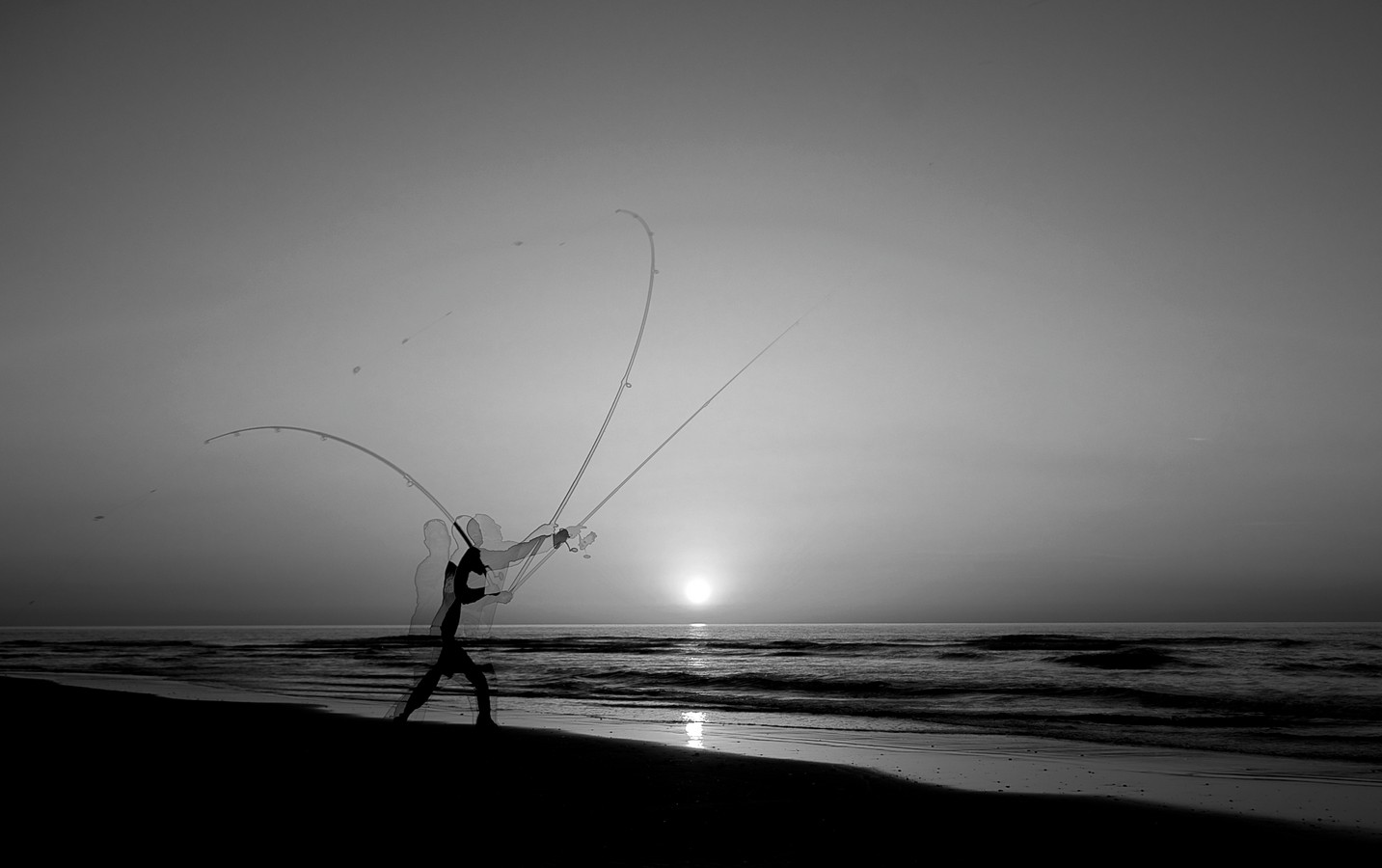 By: Eyal Alcalay 