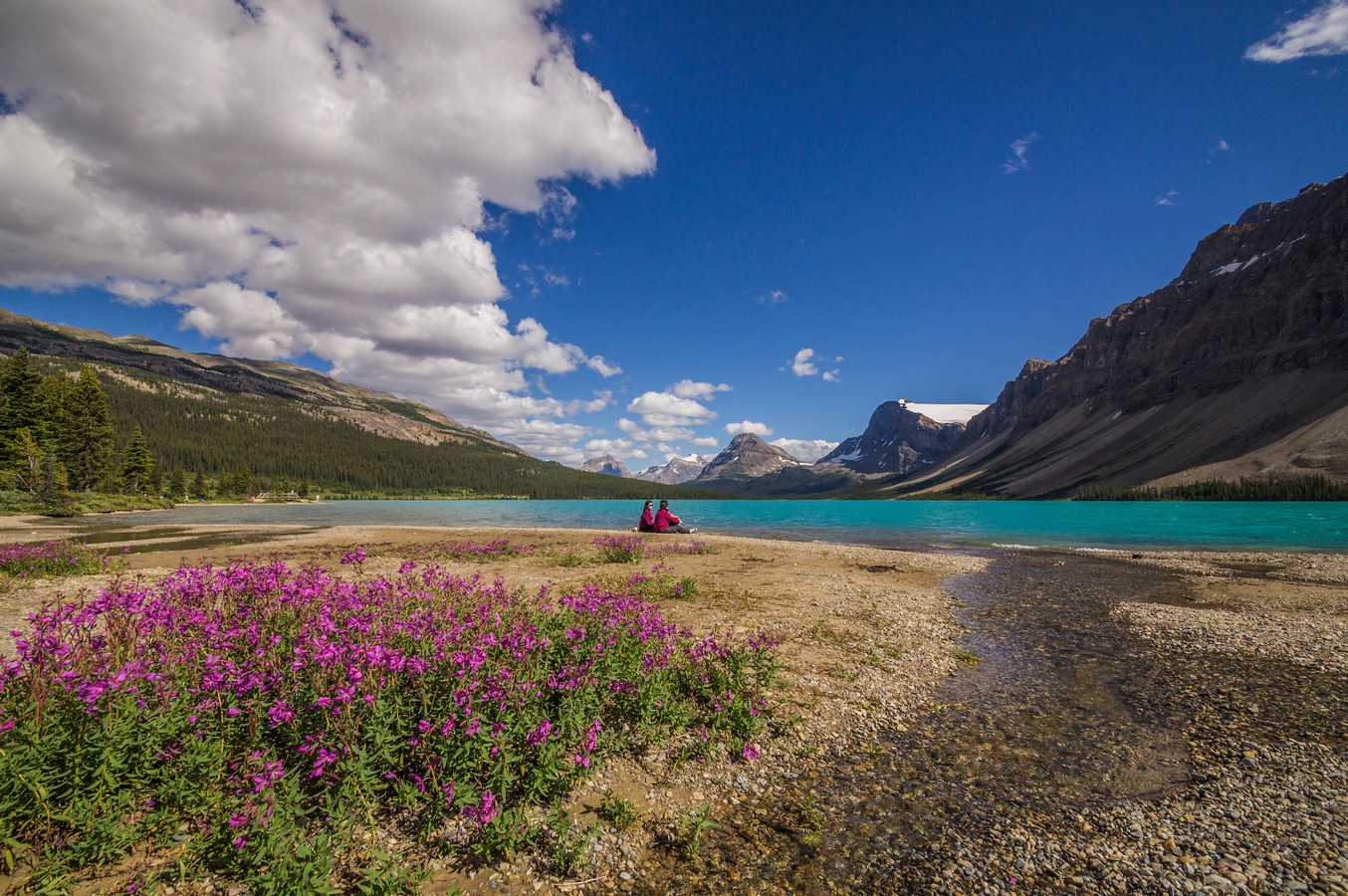 By: Joshua  Raif
