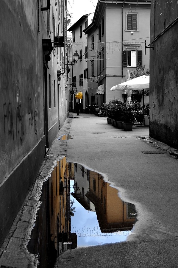 by: Orit Gafni