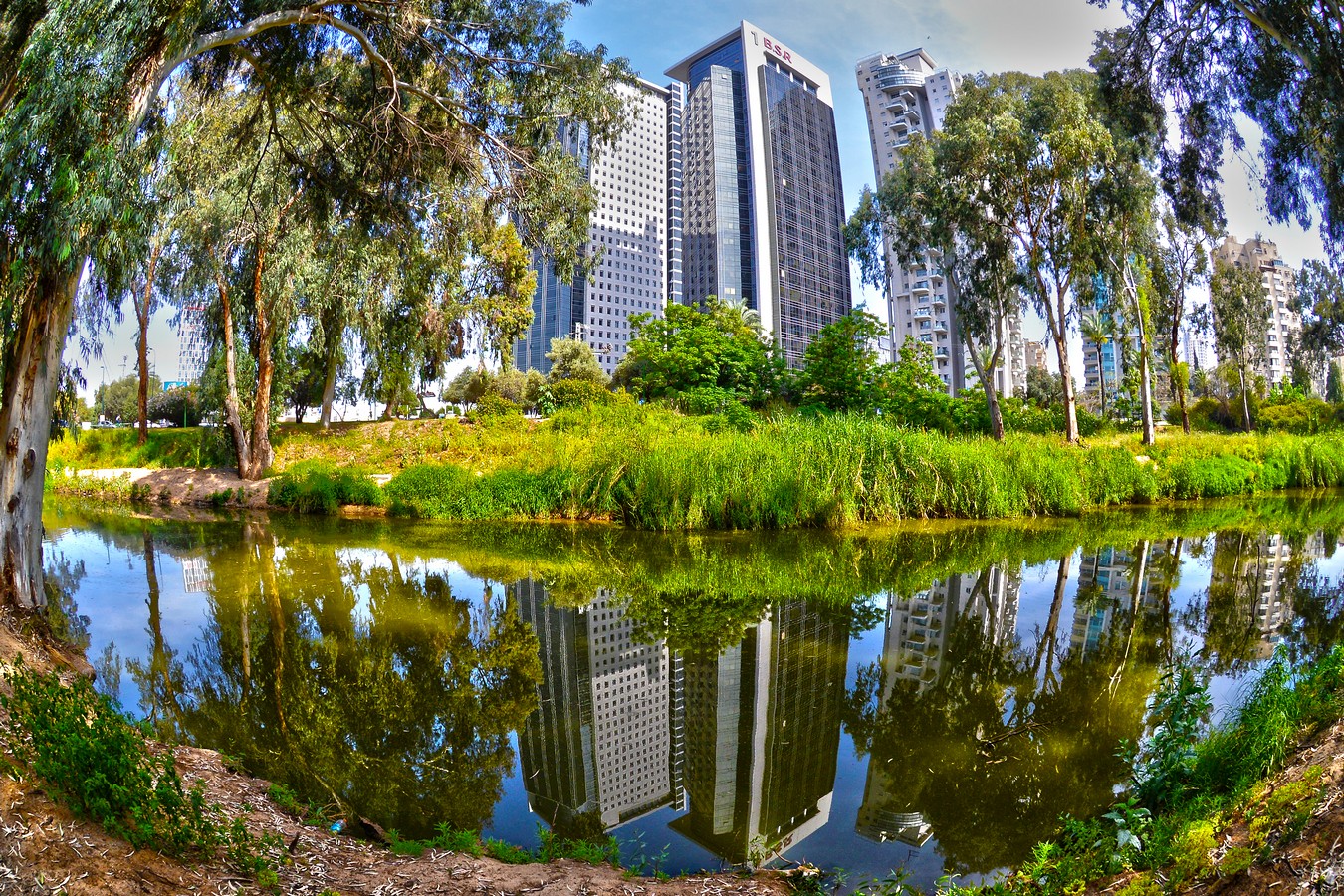 By: shlomo malka