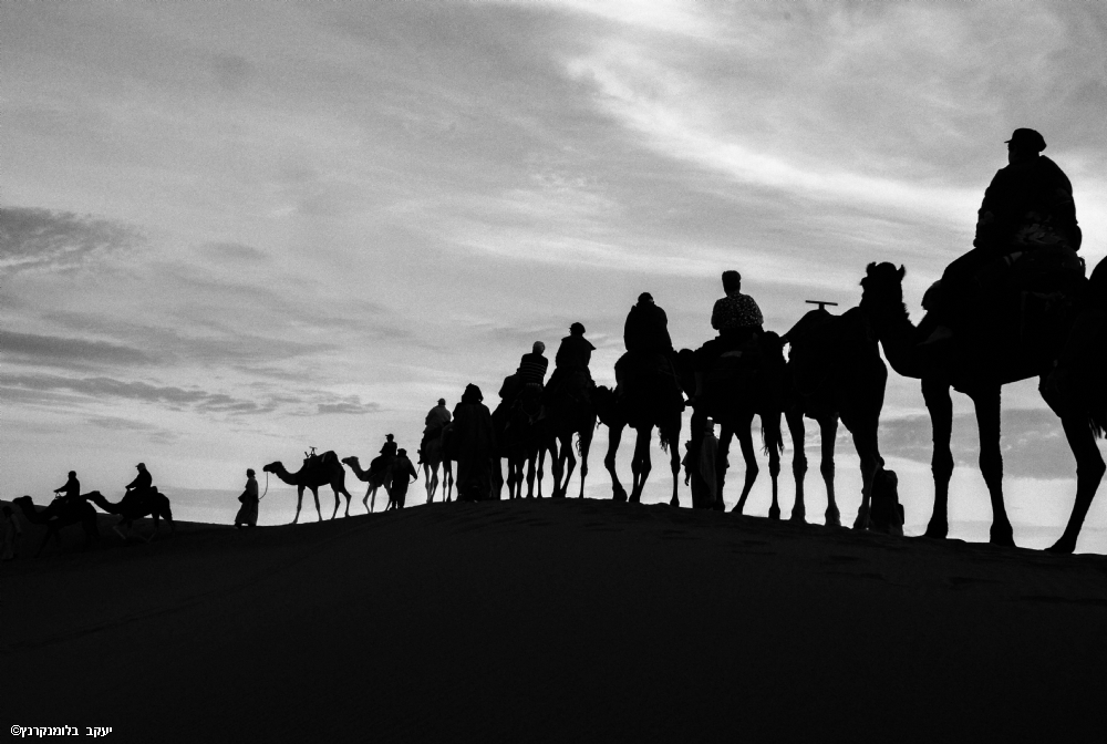 By: yacov blumenkranz