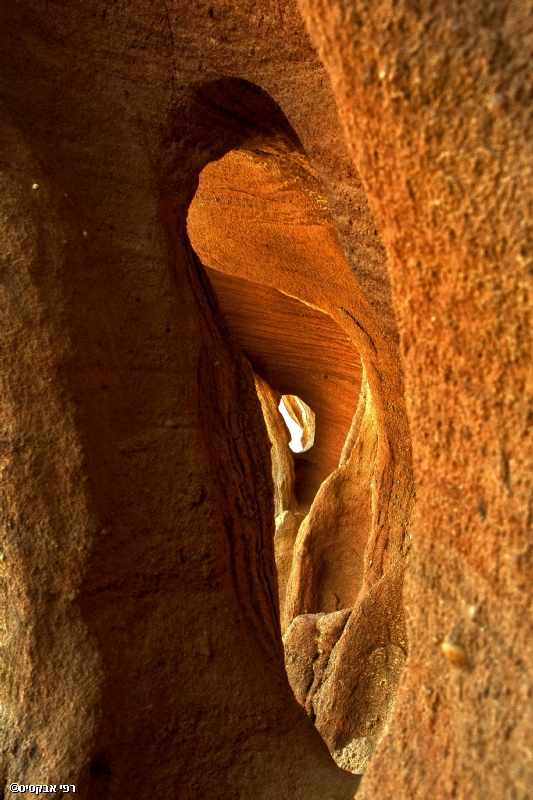 By: Raphael Abecassis