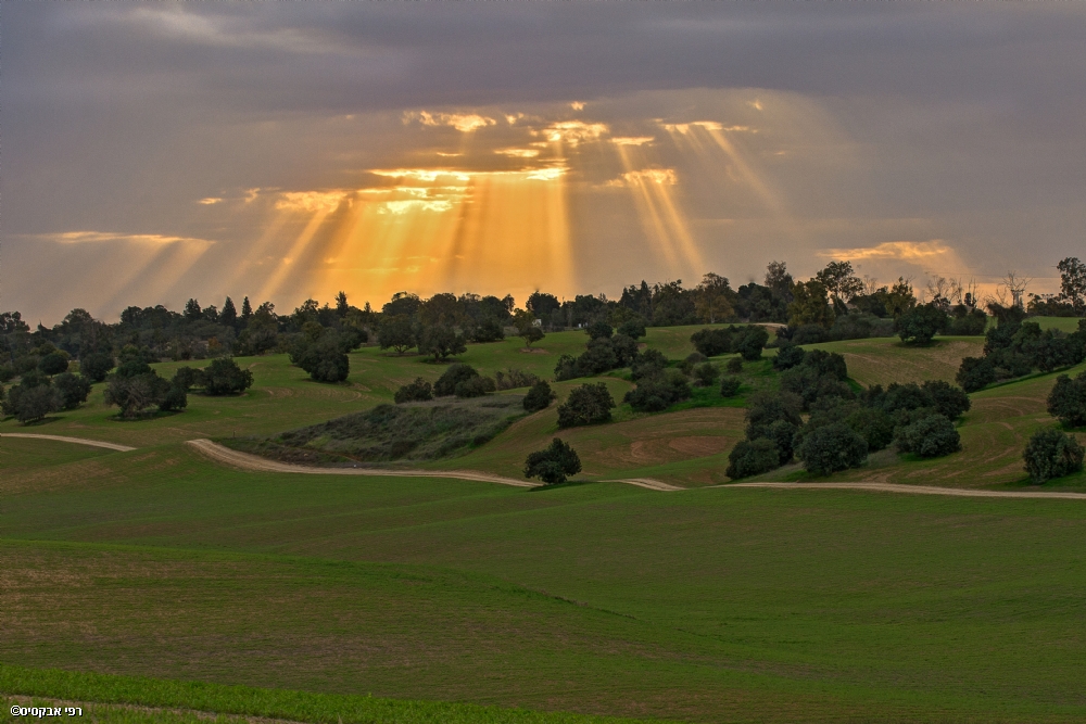 By: Raphael Abecassis