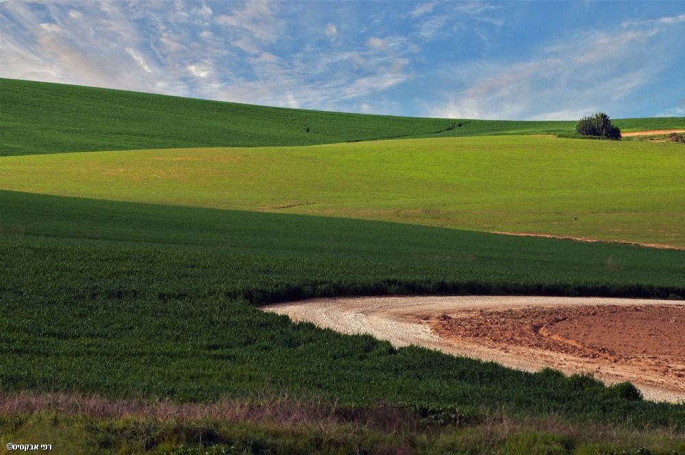 By: Raphael Abecassis