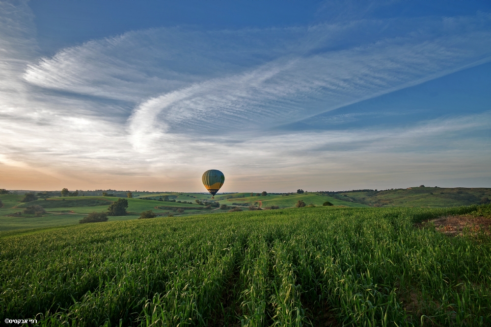 By: Raphael Abecassis