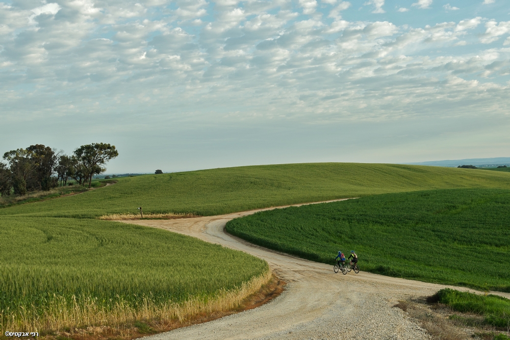 By: Raphael Abecassis