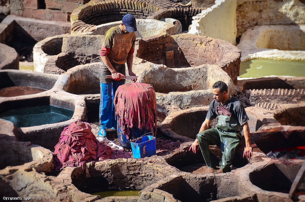 By: yacov blumenkranz