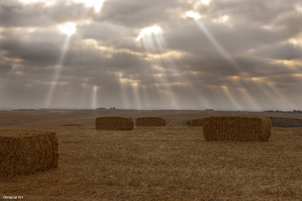 Photographer: raphaelabecassis