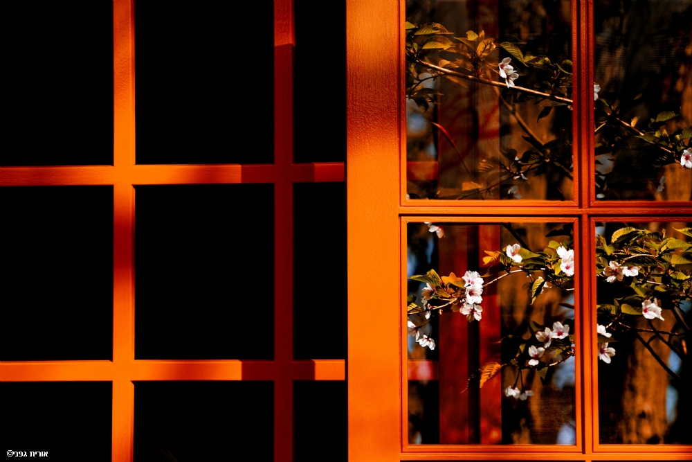 Photographer: oritgafni