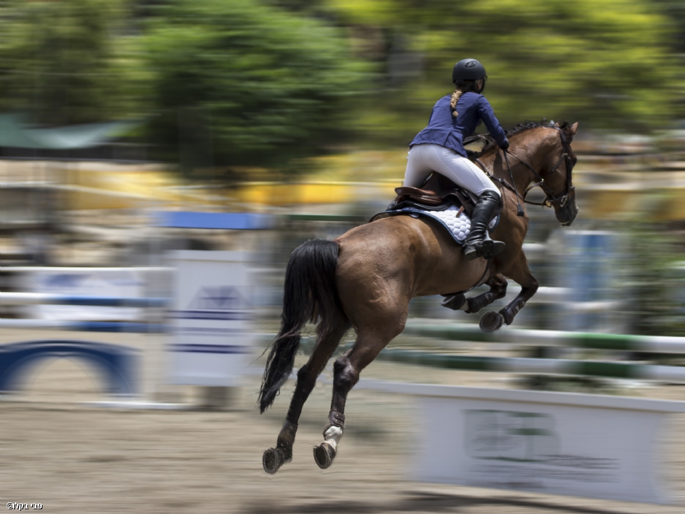 Photographer: favybakalo