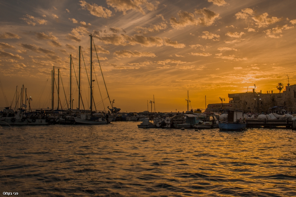 Photographer: favybakalo