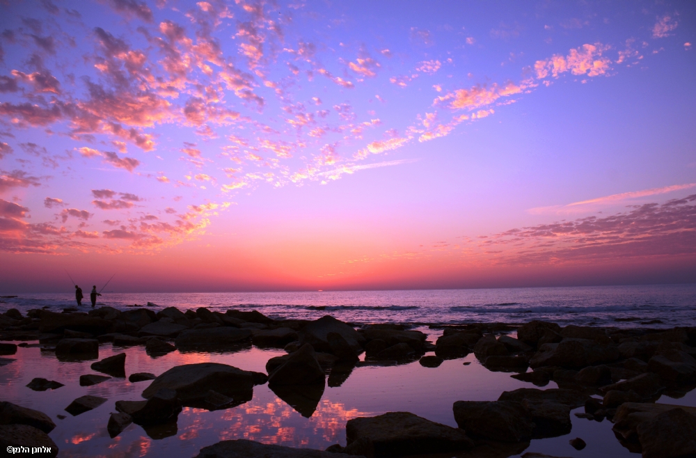 Photographer: elananhelman