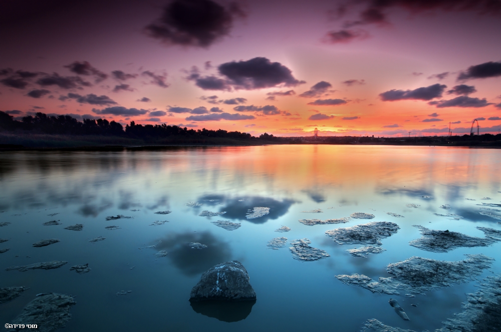 Photographer: motifadida