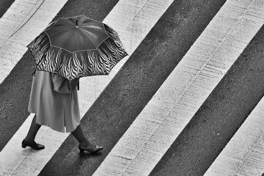 Photographer: yoramsegol