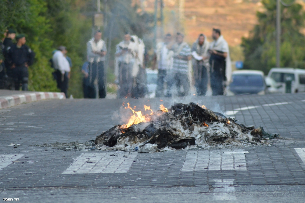 Photographer: davidrotem