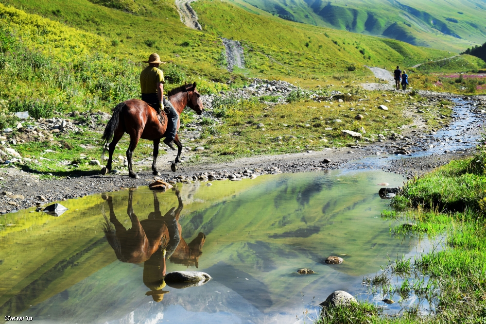 Photographer: talisrael