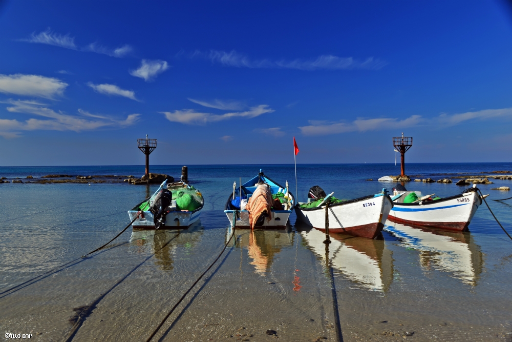 Photographer: yoramsegol