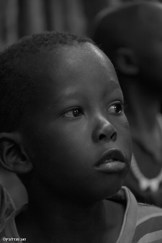 By: Zeev Mendelovitch