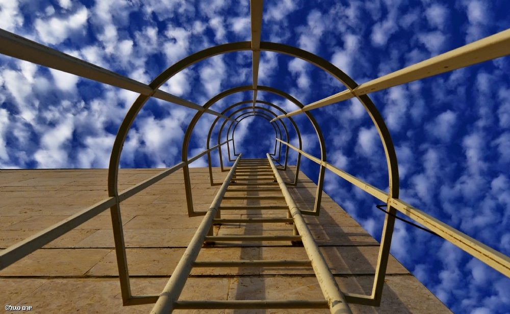 Photographer: yoramsegol