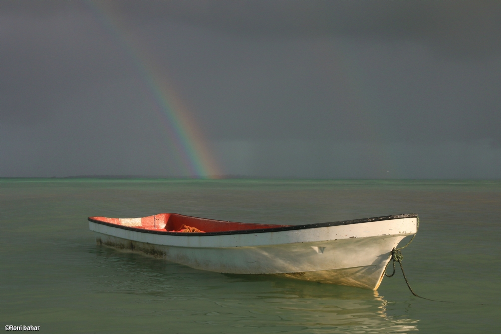 Photographer: roni bahar