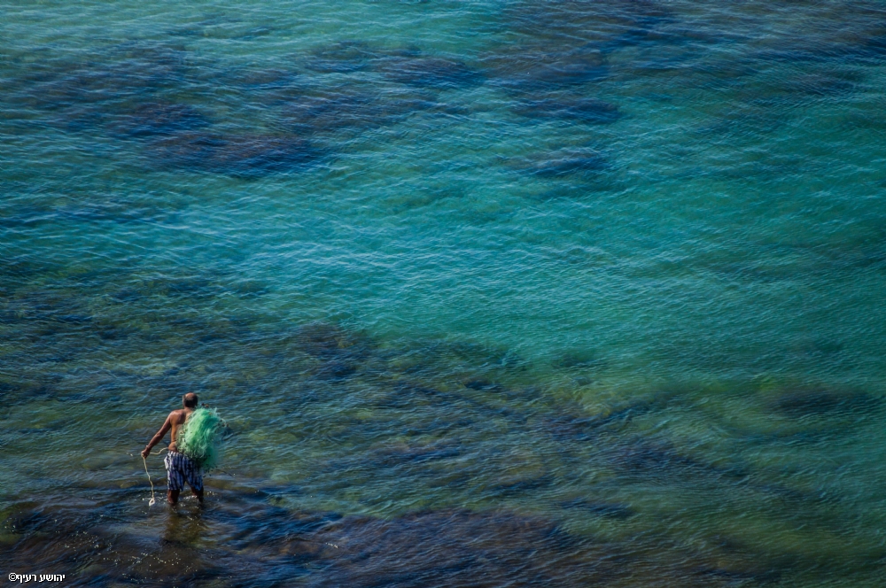 Photographer: joshua raif