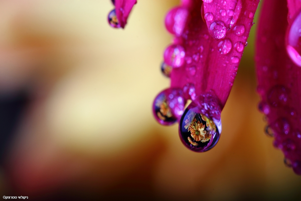 By: Nikolay Tatarchuk