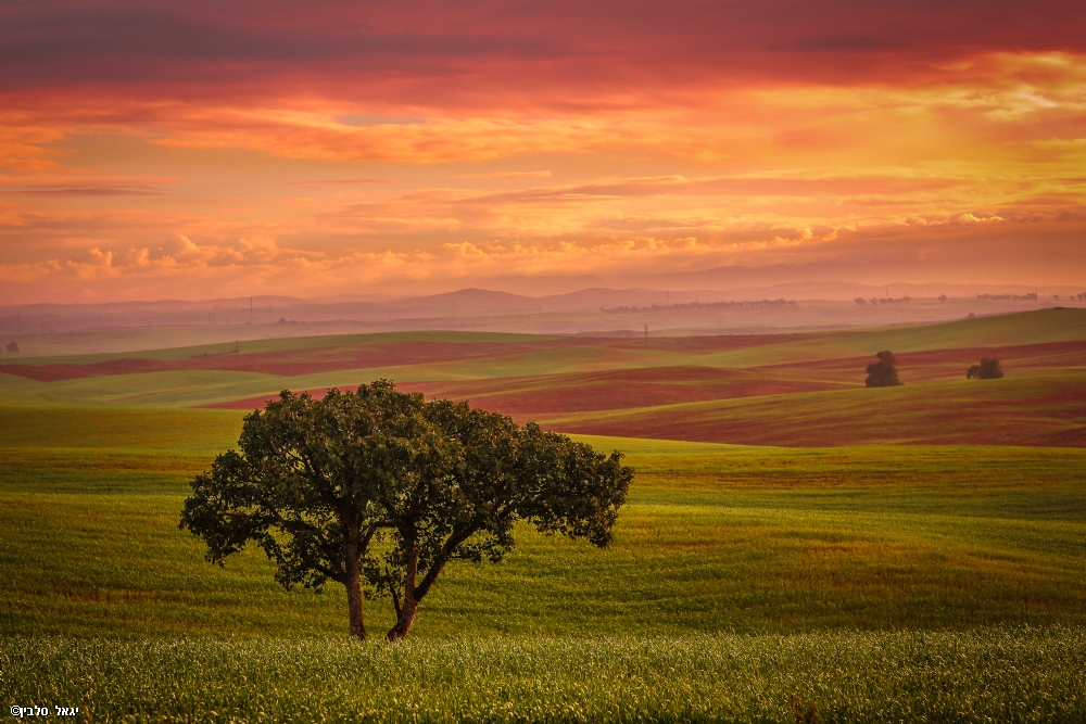 Photographer: igalslavin