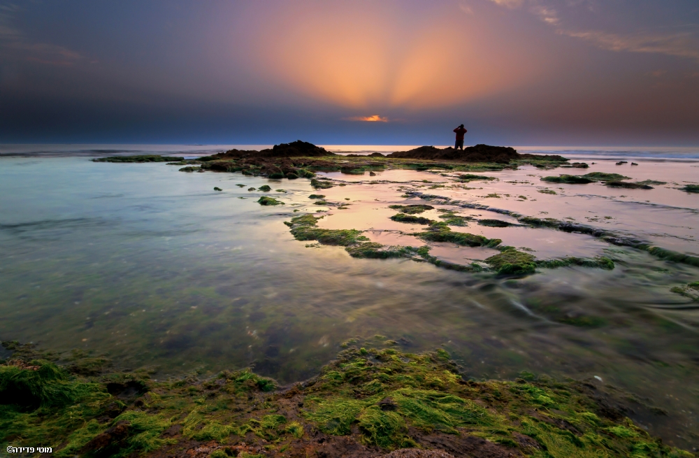 Photographer: motifadida