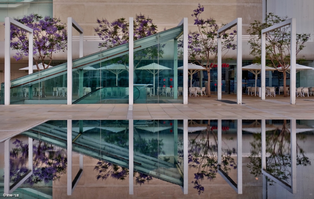 Photographer: zvi shahar