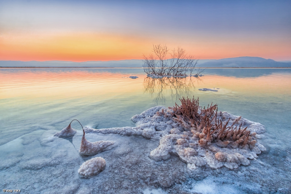 Photographer: raidomar