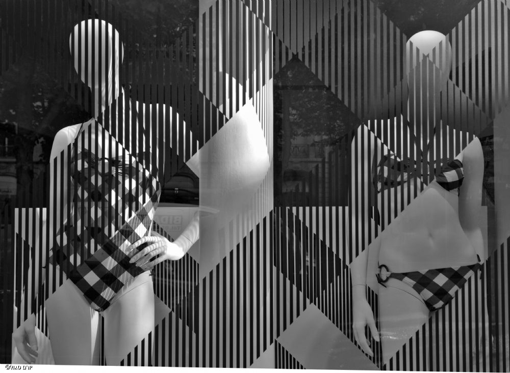 Photographer: yoramsegol