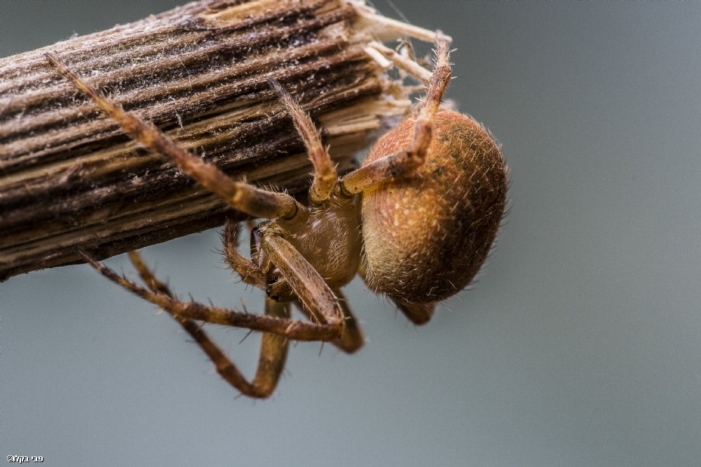 Photographer: favybakalo