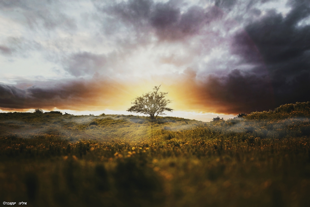 Photographer: ilyayakover