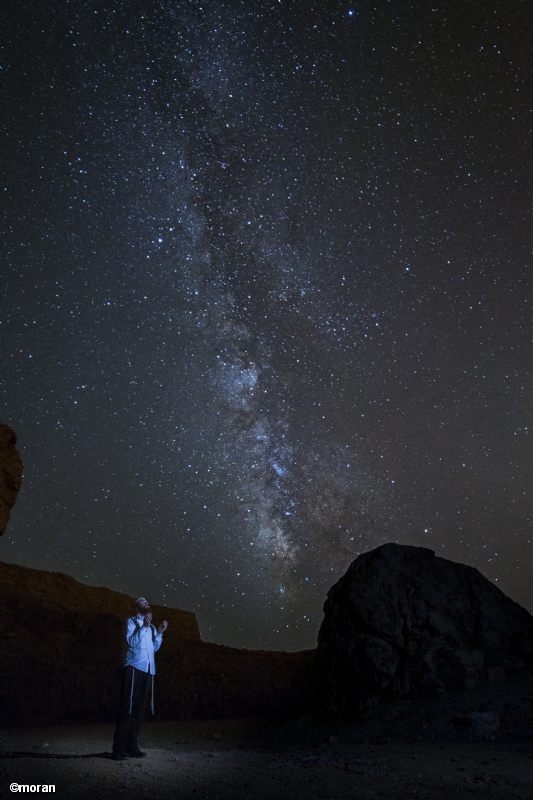 Photographer: morang