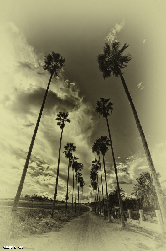 Photographer: shmuelhiskiyahu